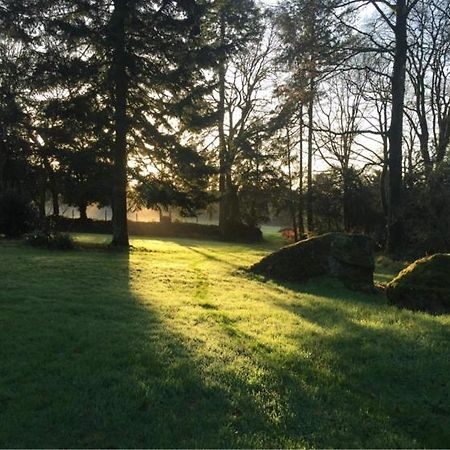 merveilleux cottage dans parc de 7,5 hectares Saint-Nicolas-du-Pélem Extérieur photo