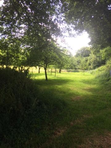merveilleux cottage dans parc de 7,5 hectares Saint-Nicolas-du-Pélem Extérieur photo