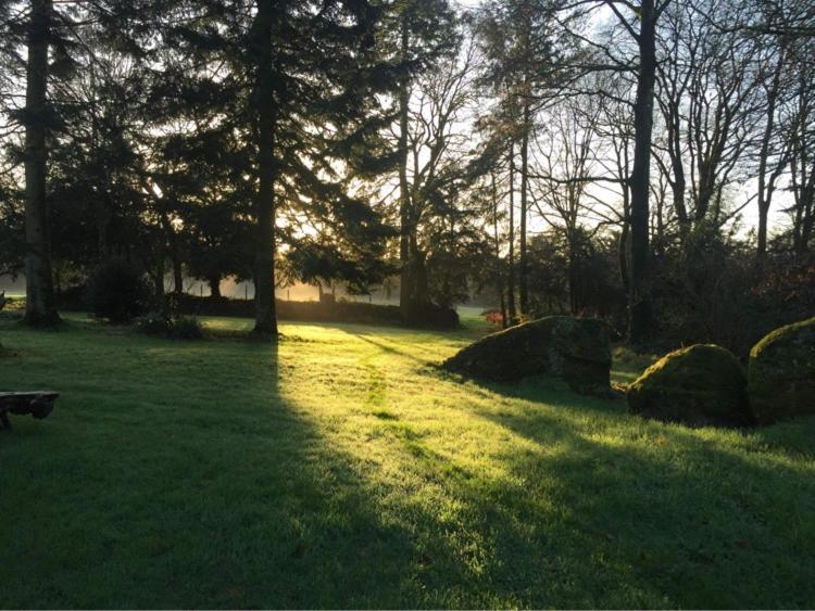 merveilleux cottage dans parc de 7,5 hectares Saint-Nicolas-du-Pélem Extérieur photo